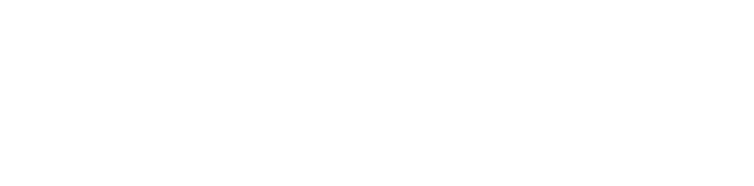Official company logo icon image
